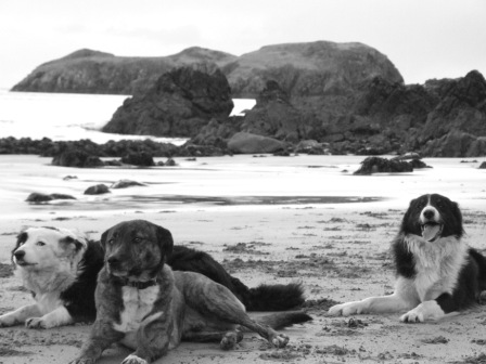 Motos mum Geri, Motos brother Max & Moto on the right.Bayble Island in background.