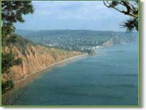 The cliffs looking towards Sidmouth