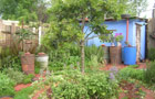 GardenAfrica