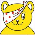 Pudsey