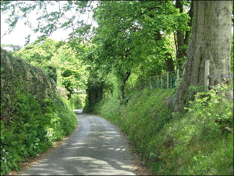 country lane