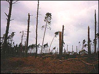 Bromeswell to Butley road, by David Isaac