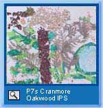 Image from the gallery