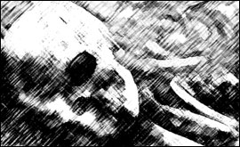 Image of a skeleton