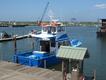 Boats on Venice marina. 