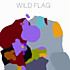 Review of Wild Flag Review of Wild Flag