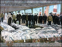 A picture of Grimsby Fish docks.