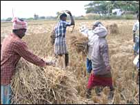 खेत में किसान