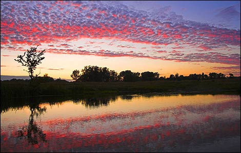 Stour Sunset by Tony Burch