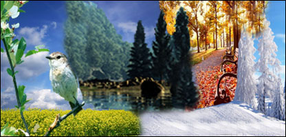 نمای از فصل های مختلف سال