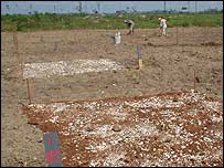 Experimento com terra preta na Amazônia