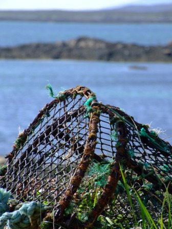 Abandoned creel,<br