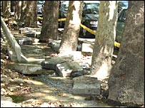 خيابان ولی عصر تهران