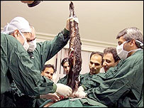 Bilimadamları ve klonlanmış koyun (arşiv)