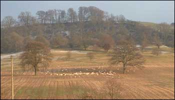 Meon Hill bathed in winter sunshine