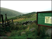 Wistman's Wood (Pic:James Fair, BBC Wildlife)