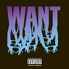 Review of Want