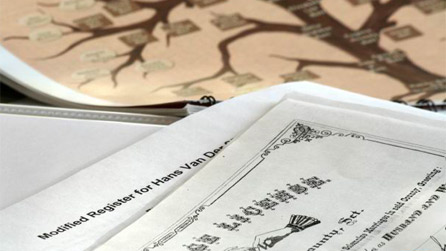 family tree - www.istockphoto.com