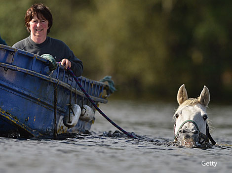 Susan Gell exercises her horse in Loch Lomand, Scotland