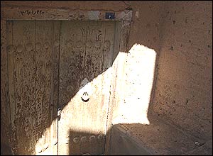 رويا دهقان پور