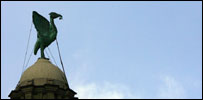 Liver bird