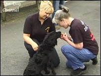 The Dog Channel visiting Rochdale Dog Rescue