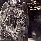 Lleuwen, God Only Knows