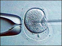 نطفہ کا جرثومہ