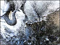 ये फ़ोटो सर्वश्रेष्ठ चुनी गई