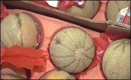 Melons in a supermarket
