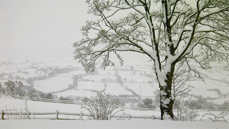 Bryneglwys, Denbighshire by Scott Coleman.