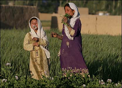  دختران در ميان يک مزرعه گندم بازی می کنند