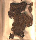 Image of textile fragment found at the site of Oakbank Crannog