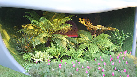 The Easigrass Garden (The Urban Plantaholics Kitchen Garden)