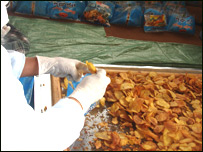 فابريکه ی چپس 