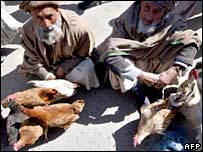 frangos em emrcado no Afeganistão