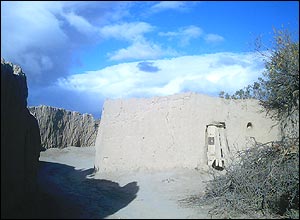 آليسا فريان