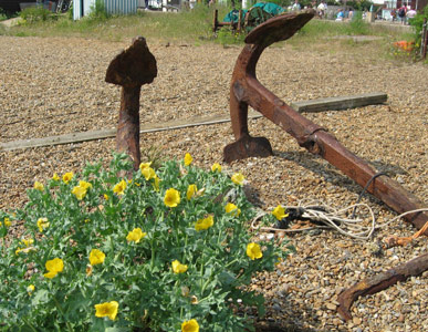Aldeburgh by Marian Read