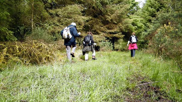 "However, the mud is still with us and we pick our way gingerly through the quagmire."