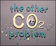 The title of the film