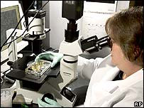 Cientista faz pesquisa com células-tronco