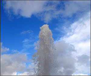 عکس از پدرام رفيعی