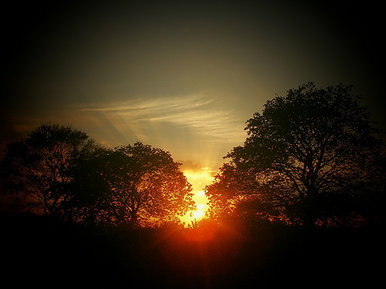 Central Park at sunset