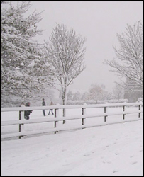 Liskeard by Jo Winkett