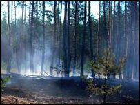 На фото: Луганщина, початок серпня. Фото УНІАН