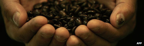 Coffee beans