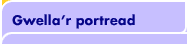 Gwella'r portread