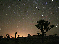 آسمان شب در پارک ملی جاشوا در نزديکی لس آنجلس