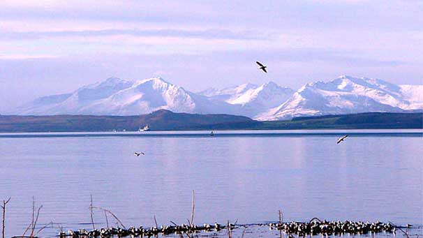 Snow on Arran