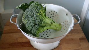 A colander of broccoli